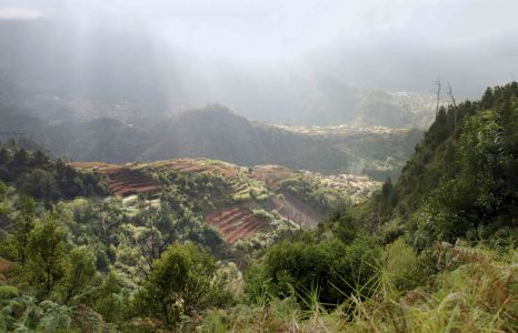 Panorama Sans Titre1