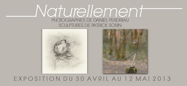 Exposition de photographies et de sculptures « Naturellement » – galerie Rive de Loire à Ancenis
